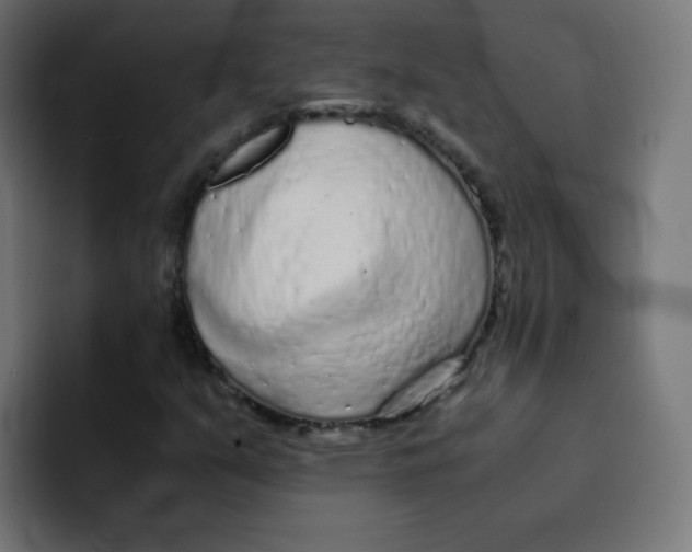 X0000092021351200710041036