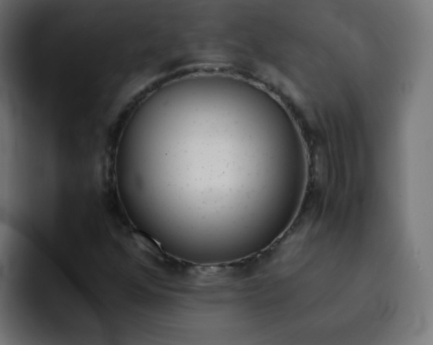 X0000092021352200710041036