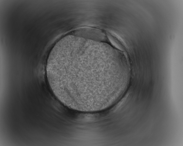 X0000092021355200710041036