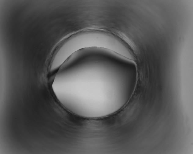 X0000092021356200710041036