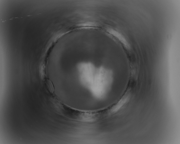 X0000092021357200710041036