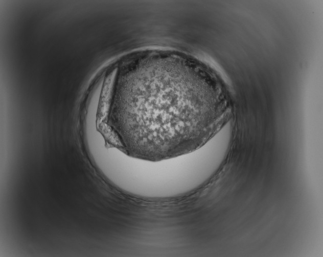 X0000092021360200710041036