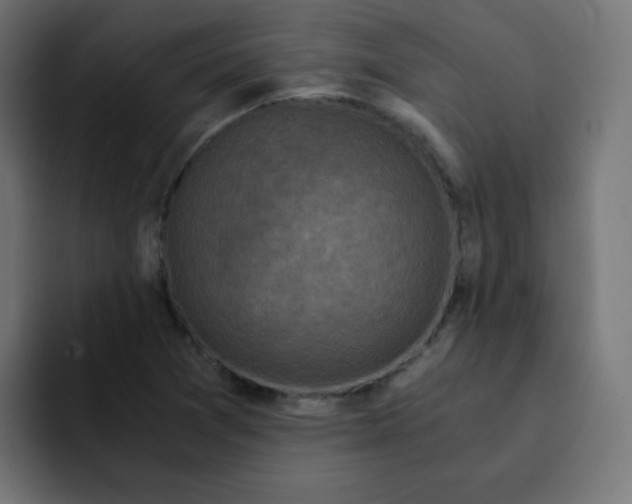 X0000092021361200710041036