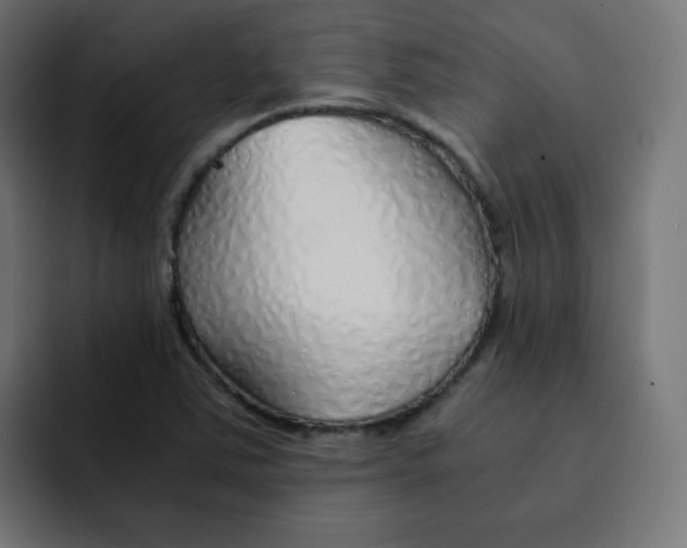 X0000092021363200710041036