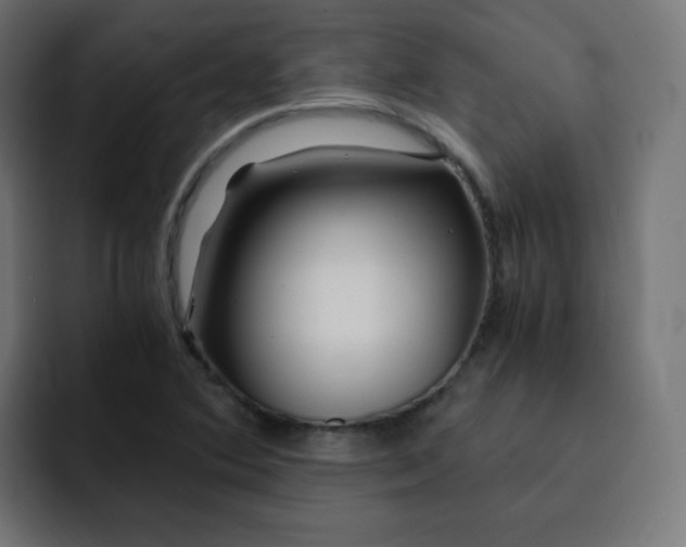 X0000092021364200710041036