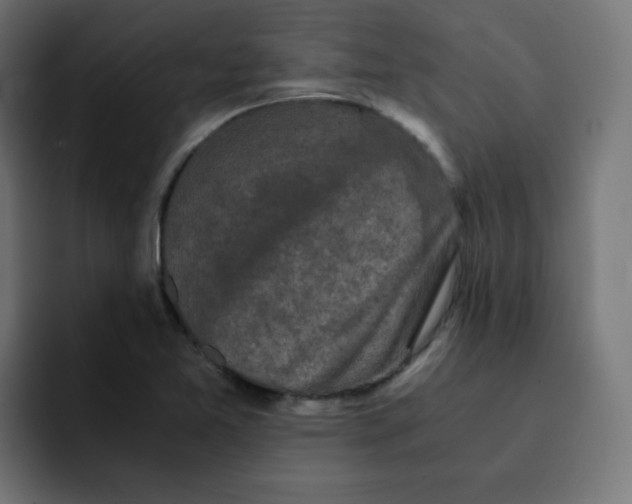 X0000092021365200710041036