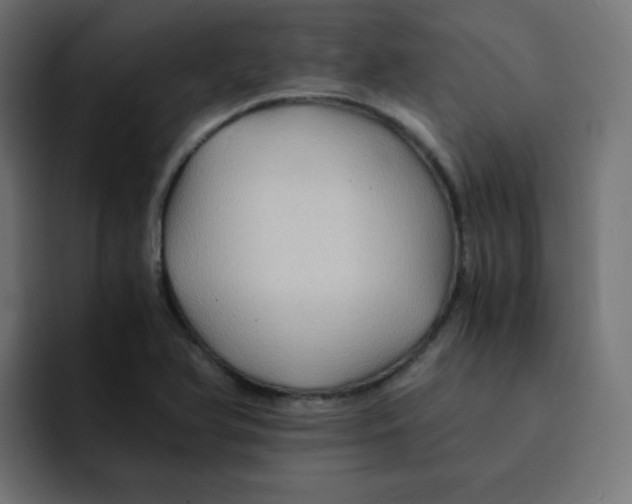 X0000092021366200710041036