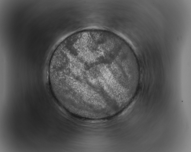 X0000092021367200710041036