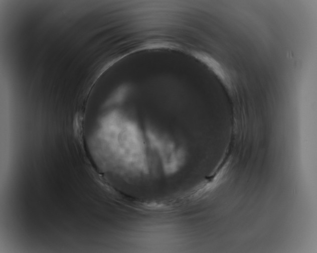 X0000092021369200710041036