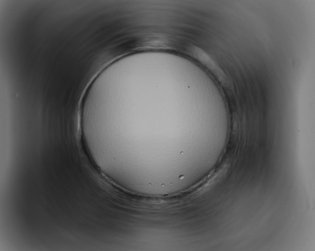 X0000092021370200710041036