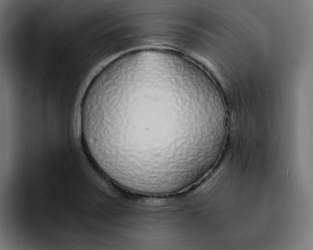 X0000092021371200710041036