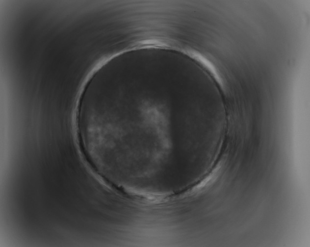 X0000092021373200710041036