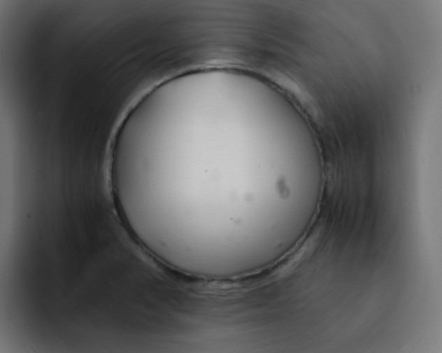 X0000092021374200710041036