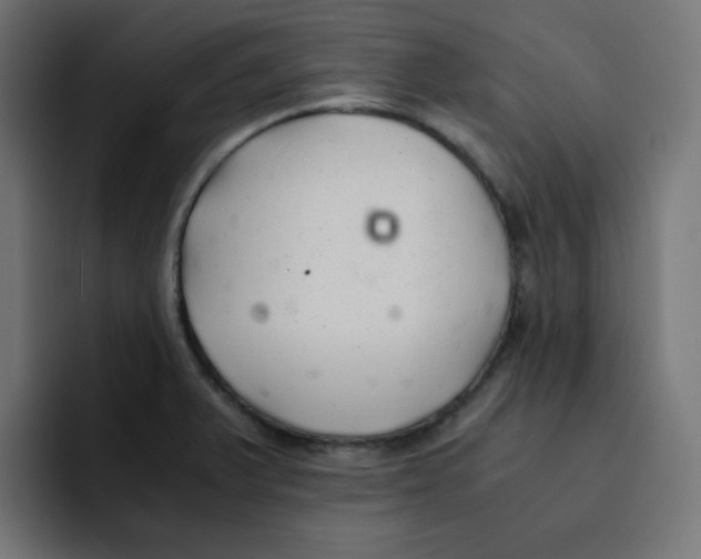 X0000092021375200710041036