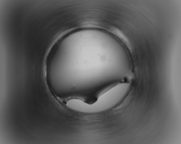 X0000092021376200710041036