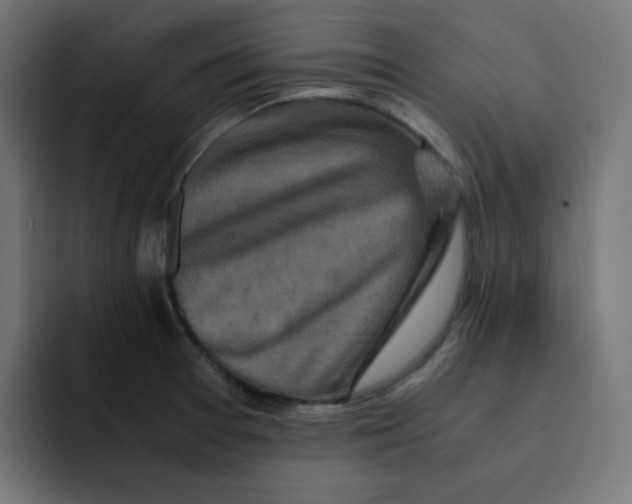 X0000092021377200710041036