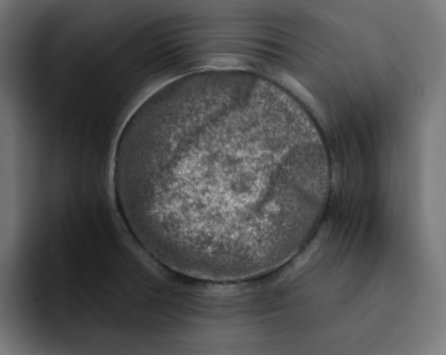 X0000092021378200710041036