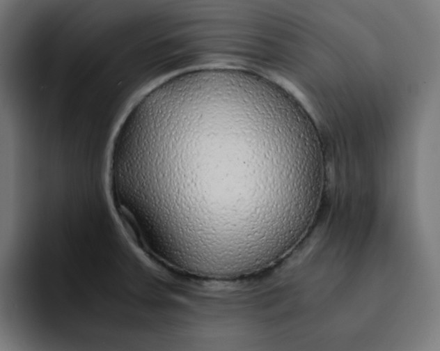 X0000092021379200710041036