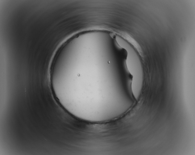 X0000092021380200710041036