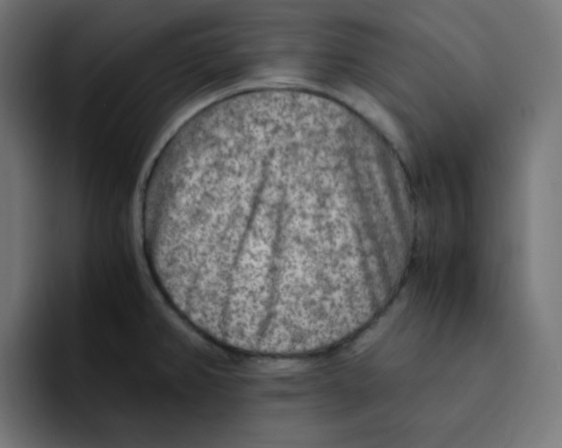 X0000092021382200710041036