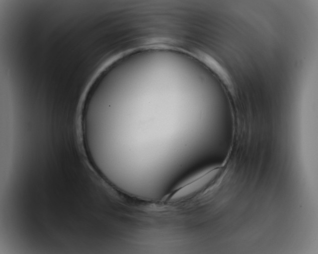 X0000092021384200710041036