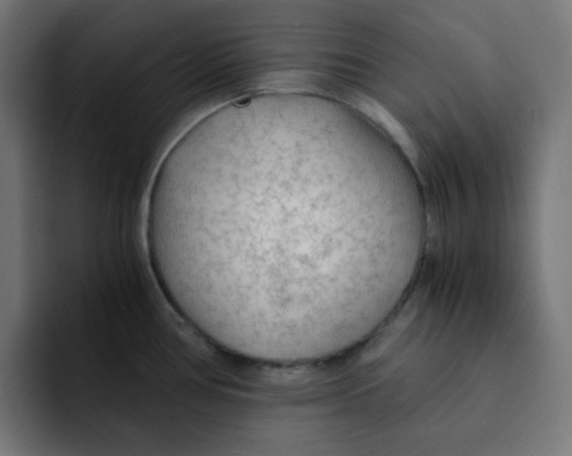 X0000092021386200710041036