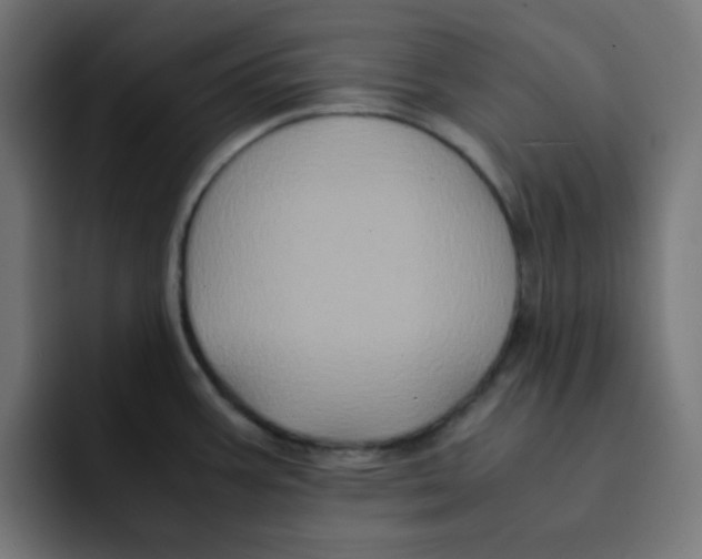 X0000092021387200710041036