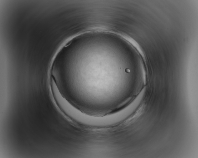 X0000092021389200710041036