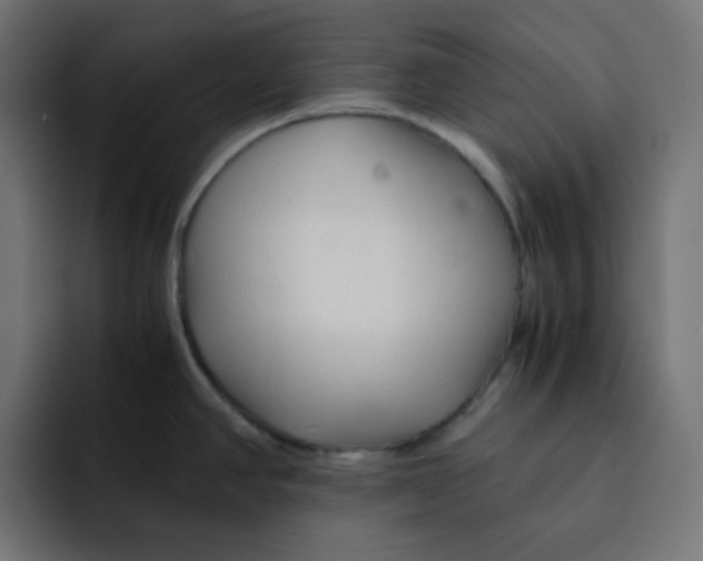 X0000092021390200710041036