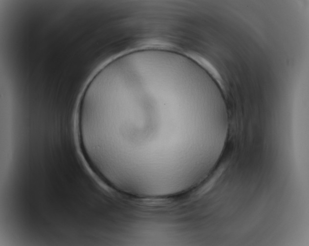 X0000092021391200710041036