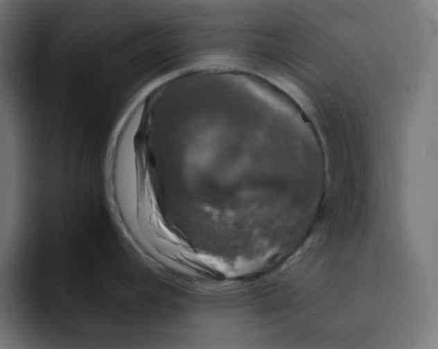 X0000092021392200710041036