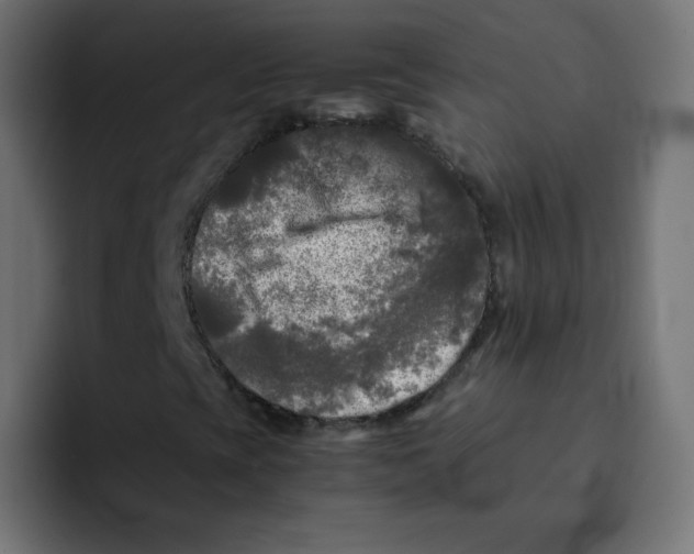 X0000092021393200710041035