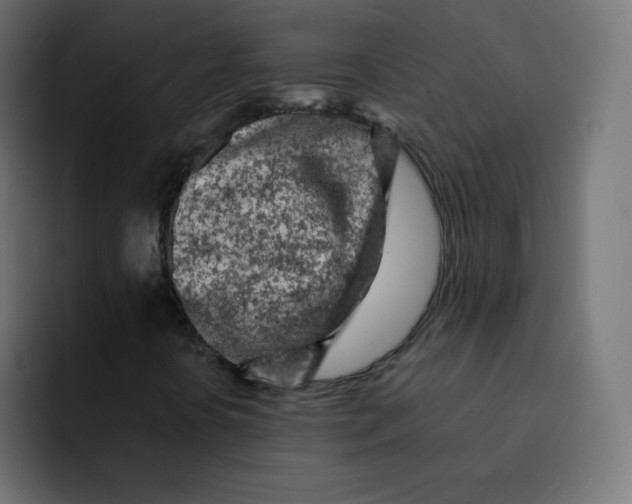 X0000092021394200710041035