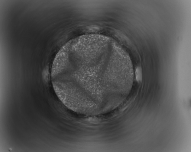 X0000092021395200710041035