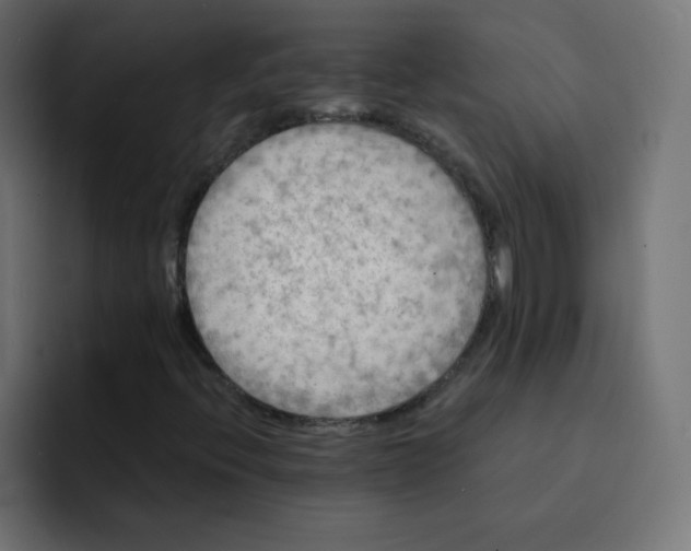 X0000092021396200710041035