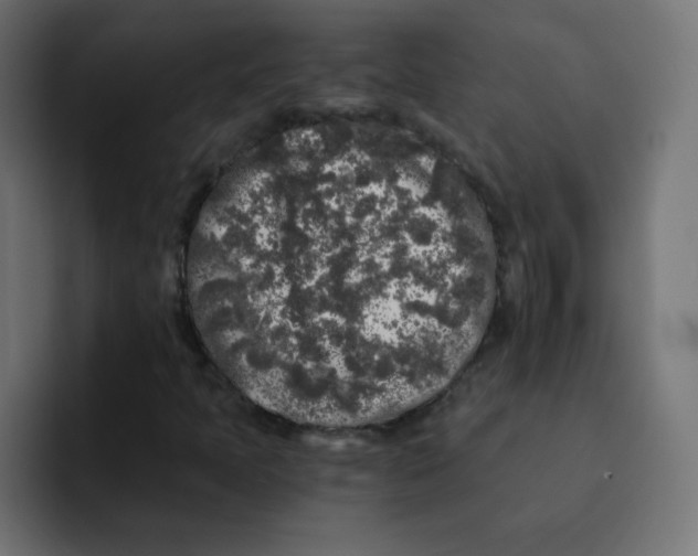 X0000092021397200710041035