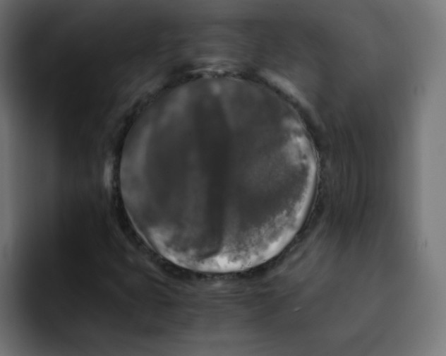 X0000092021399200710041035