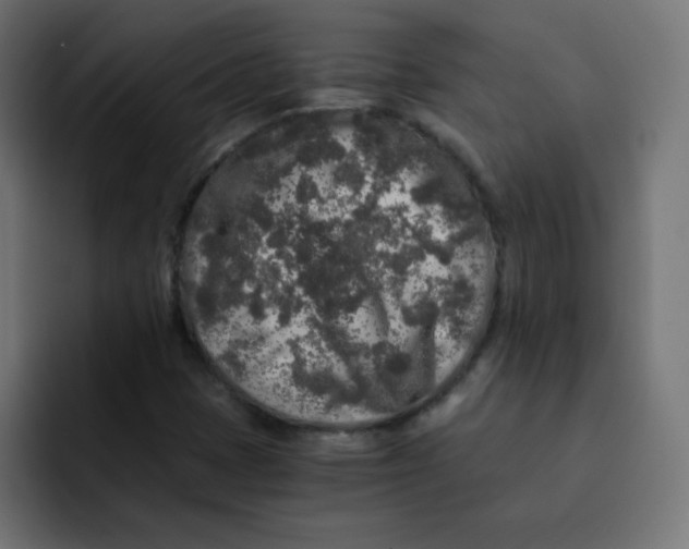 X0000092021401200710041035