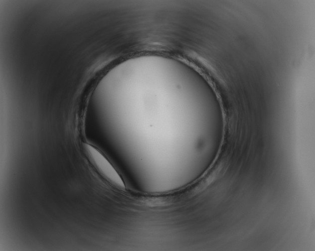 X0000092021402200710041035