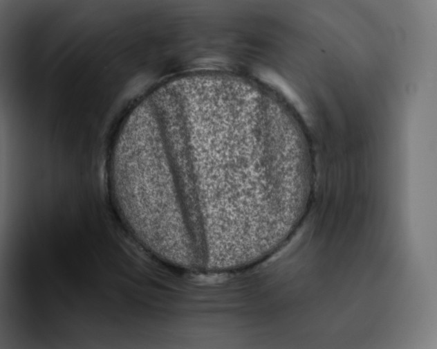 X0000092021403200710041035