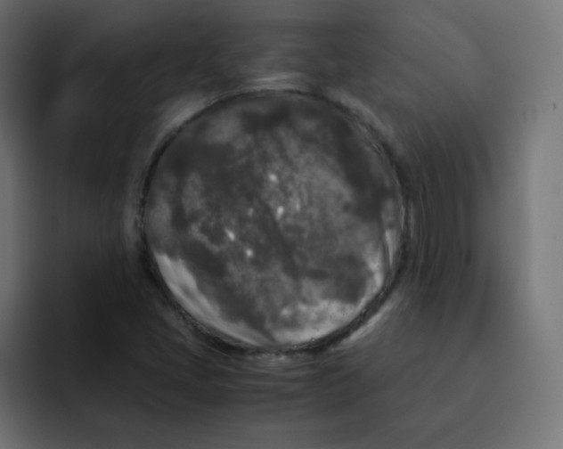 X0000092021405200710041035