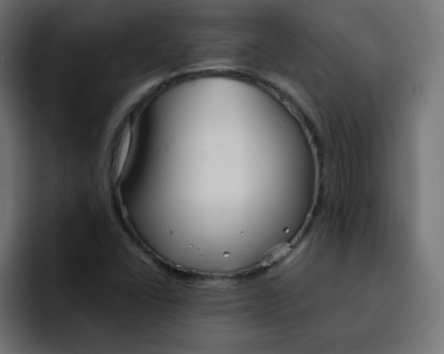 X0000092021406200710041035