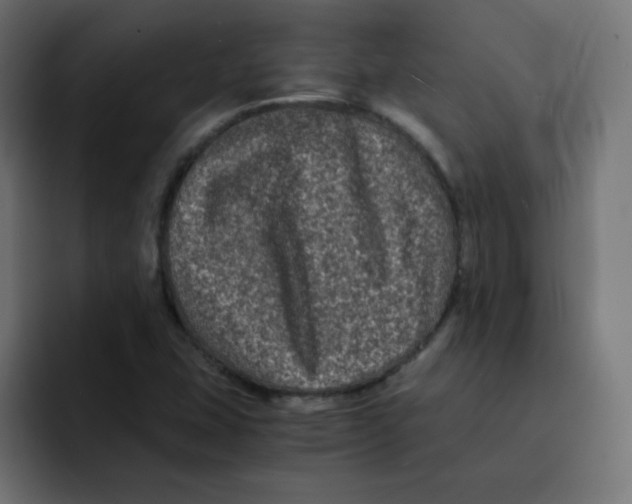 X0000092021407200710041035