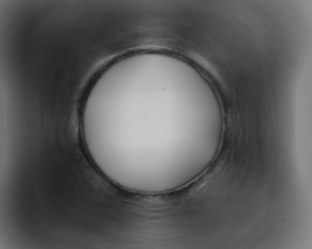 X0000092021408200710041035