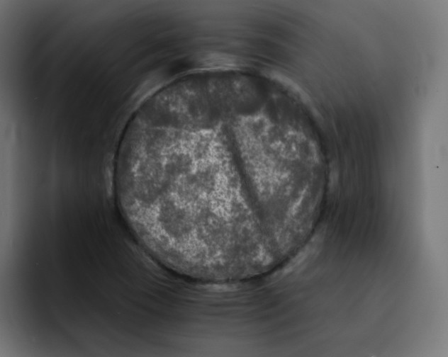 X0000092021409200710041035