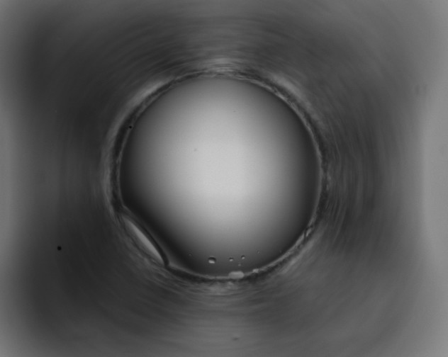 X0000092021410200710041035