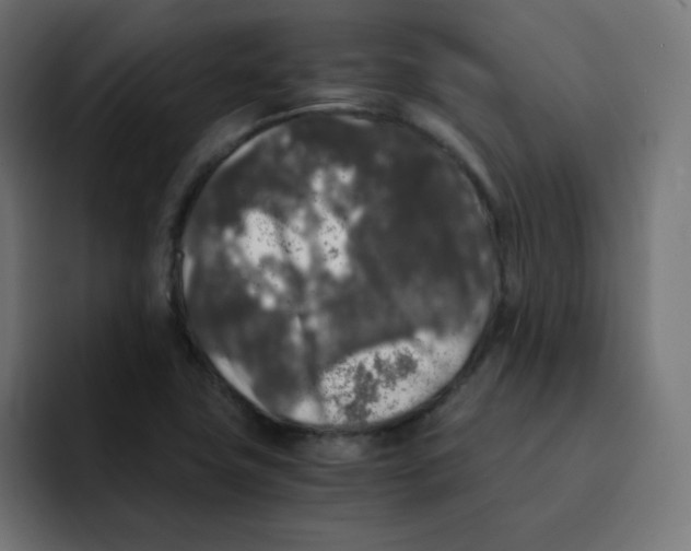 X0000092021411200710041035