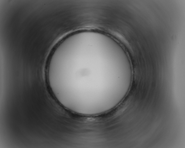 X0000092021412200710041035