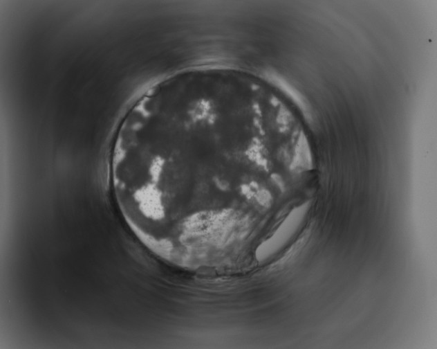 X0000092021413200710041035