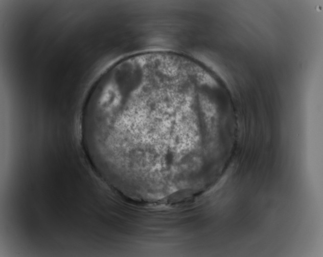 X0000092021415200710041035